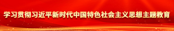 cb逼逼视频网站学习贯彻习近平新时代中国特色社会主义思想主题教育